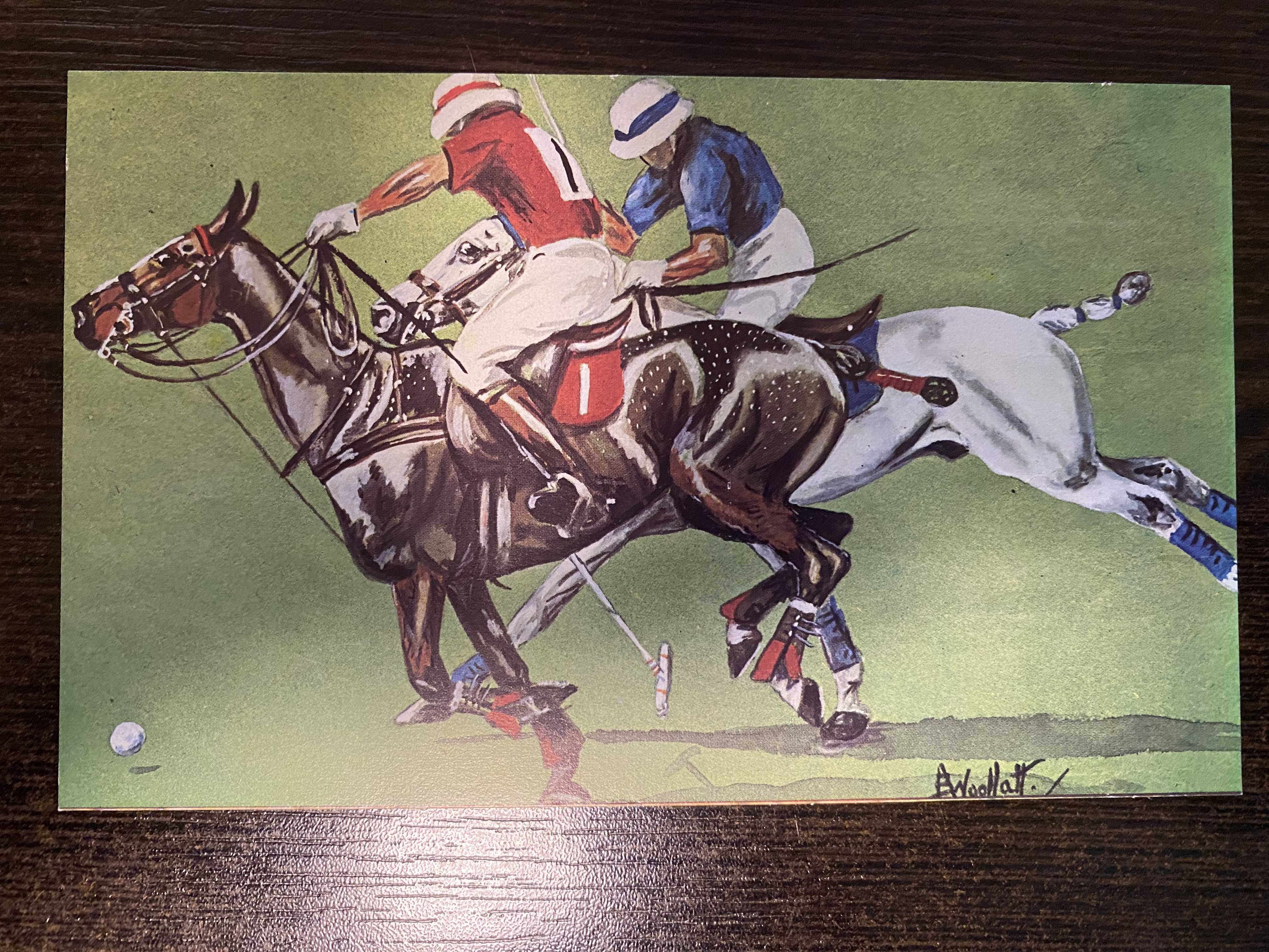Polo